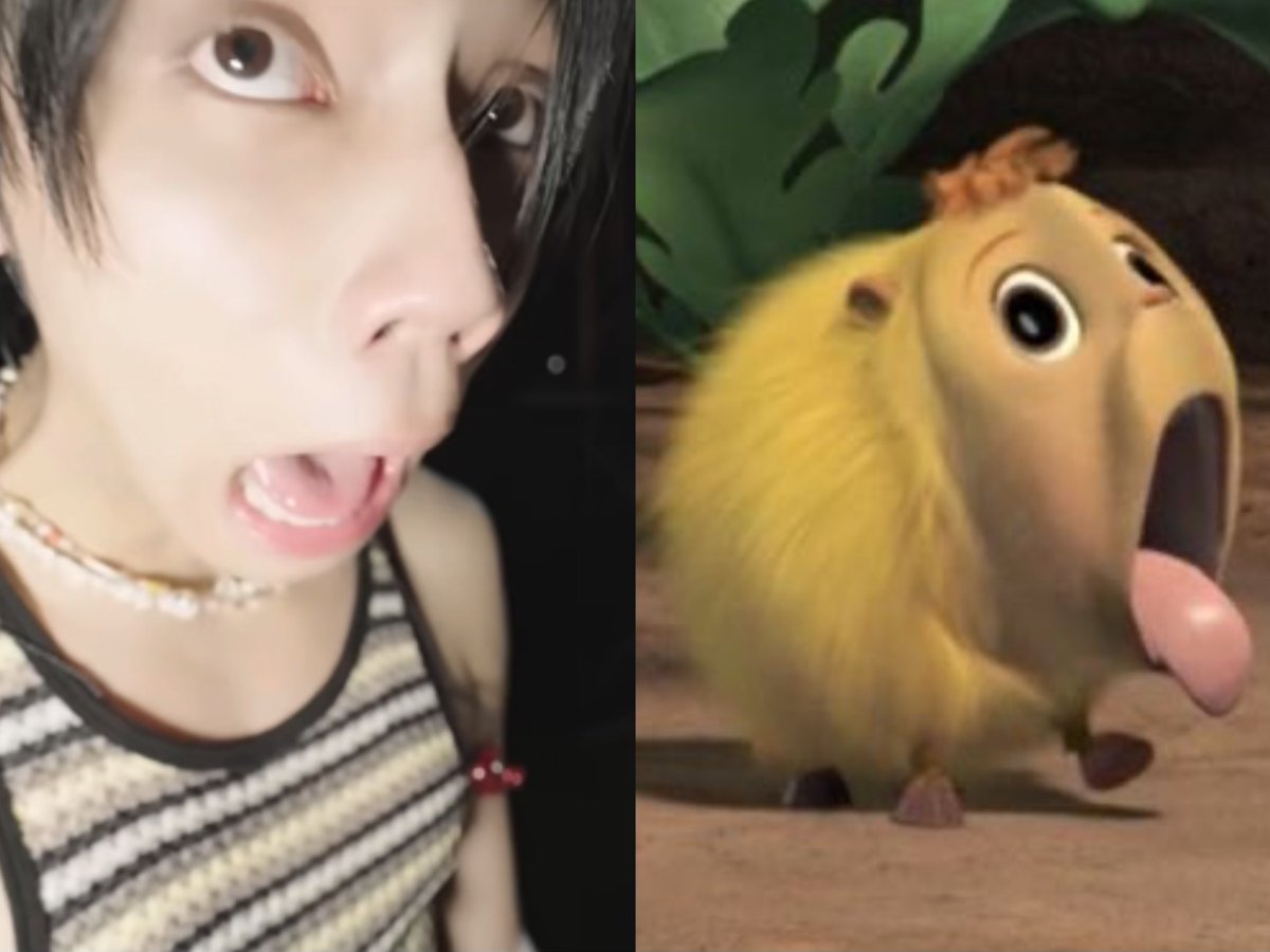  𓈒 ⟡🧚🏻♀️ Peanut ୨ৎ 𓈒 ݁⋆ tweet media