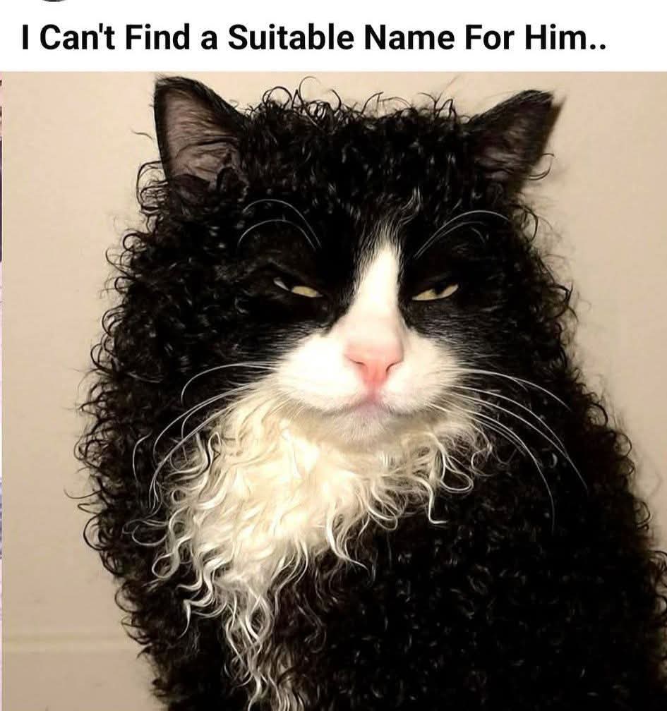 Maria Rose ❤️ tweet media