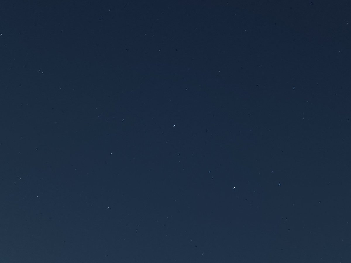 ネコペン tweet media