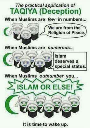 M/Y MidnightSalt tweet media