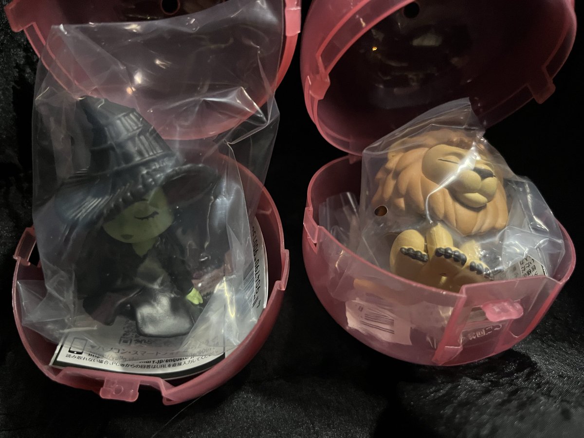 ぽんぬ tweet media