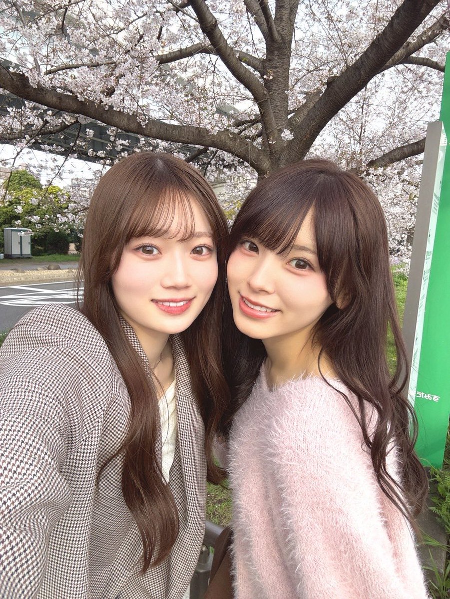 🐱🌻しどう🐱🌻 tweet media