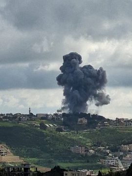 Vivid.🇮🇱 tweet media