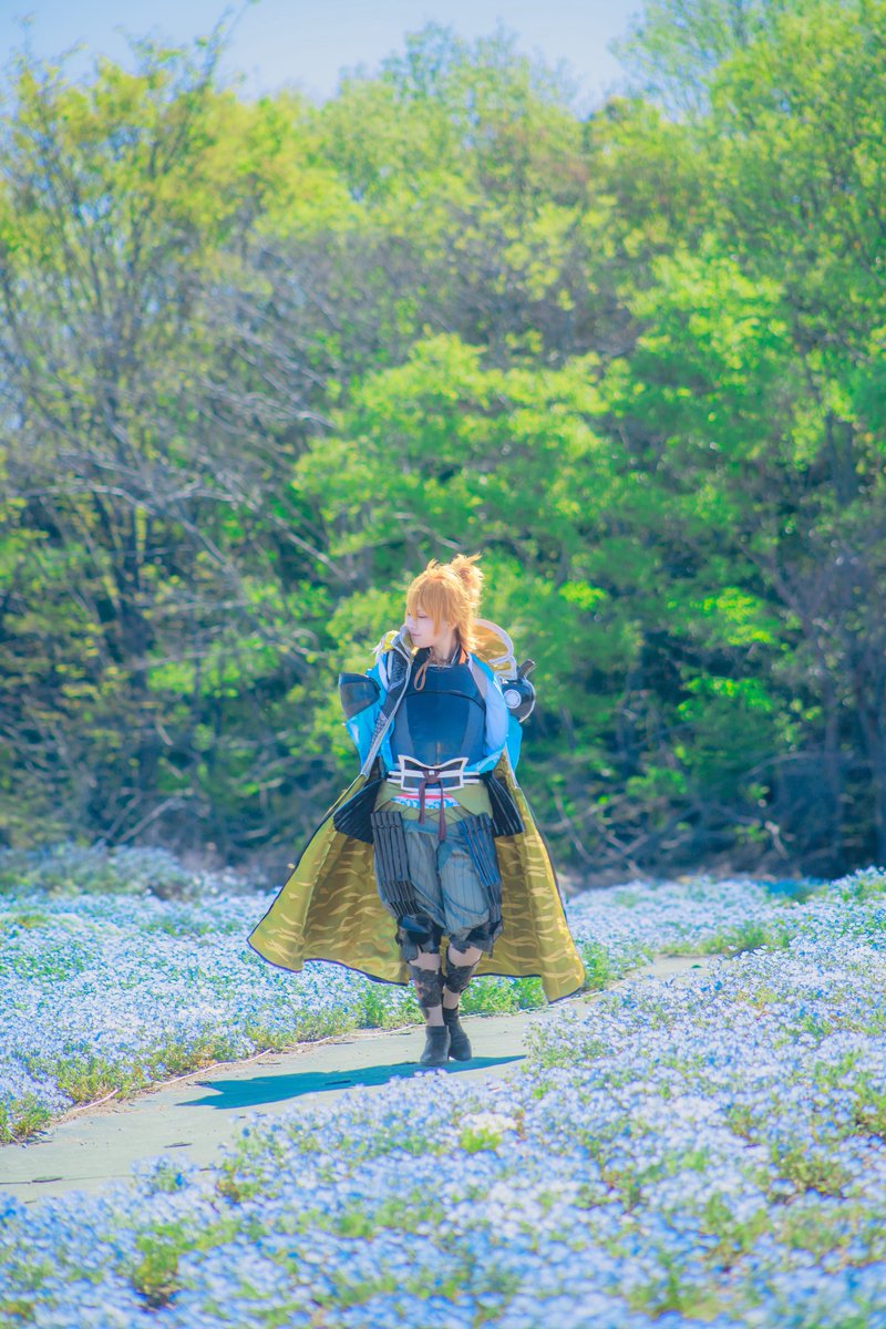 たんぽぽまぎゅた🌼 tweet media