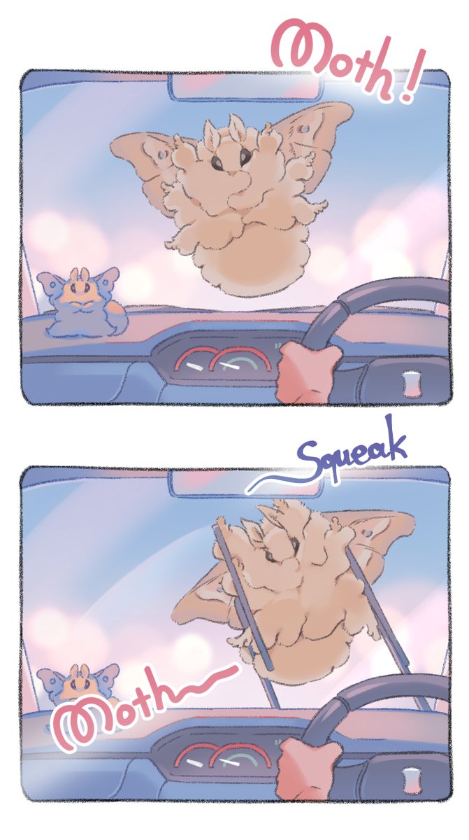 Big Fluffy Moth tweet media