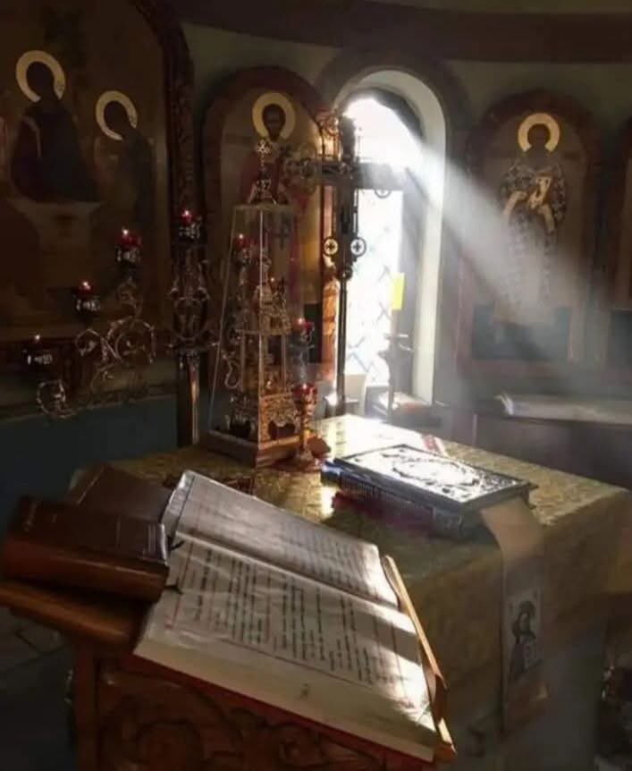 Fr. Daniel☦️ tweet media