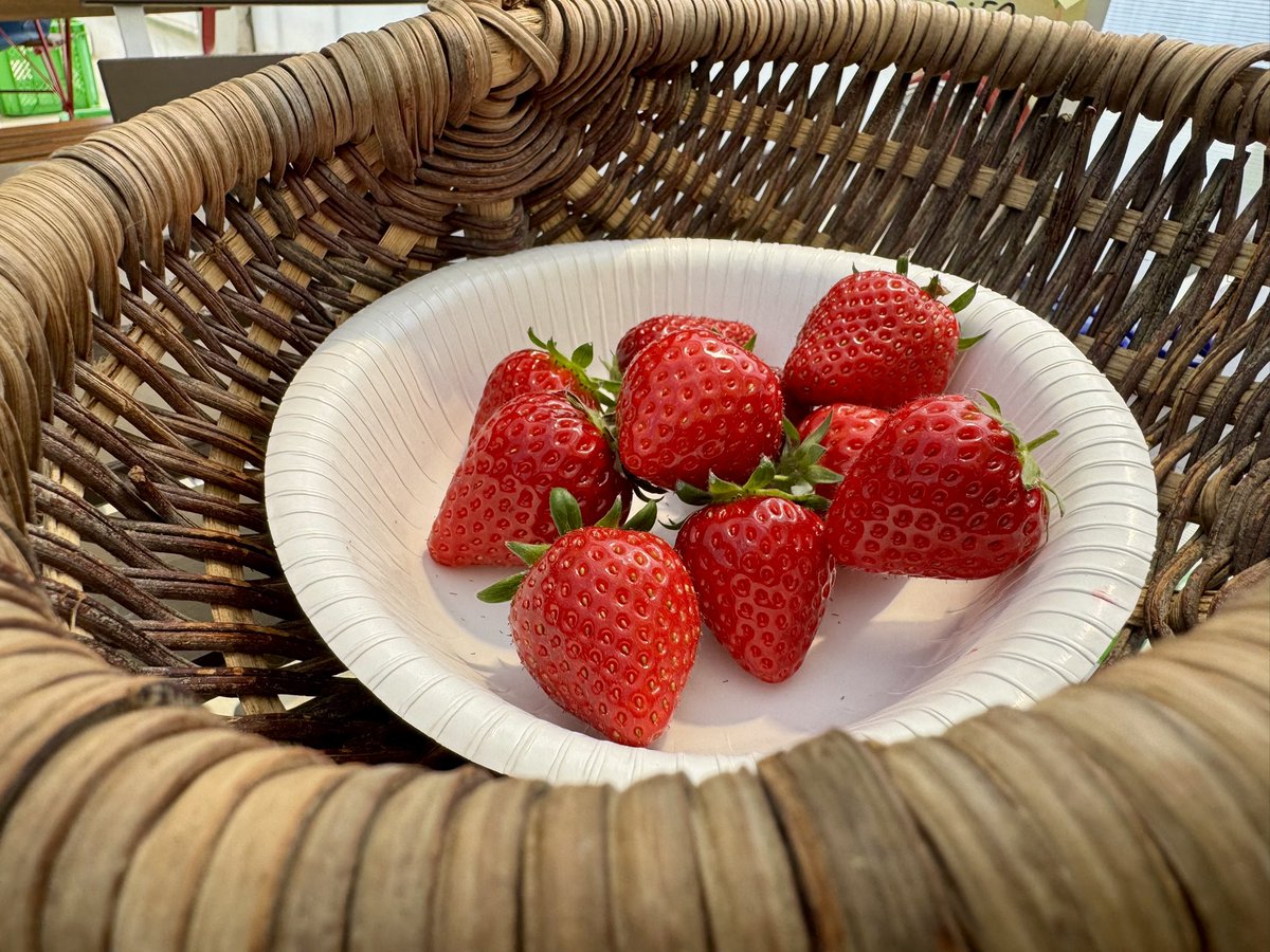 ヨシさん(アラ還) tweet media