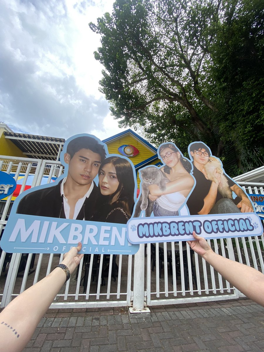 isla ࿐ tweet media