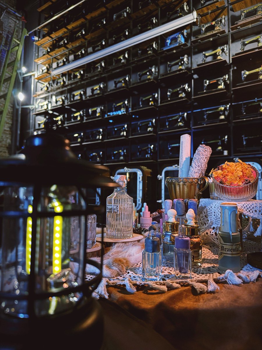 Grace Wolstencroft tweet media