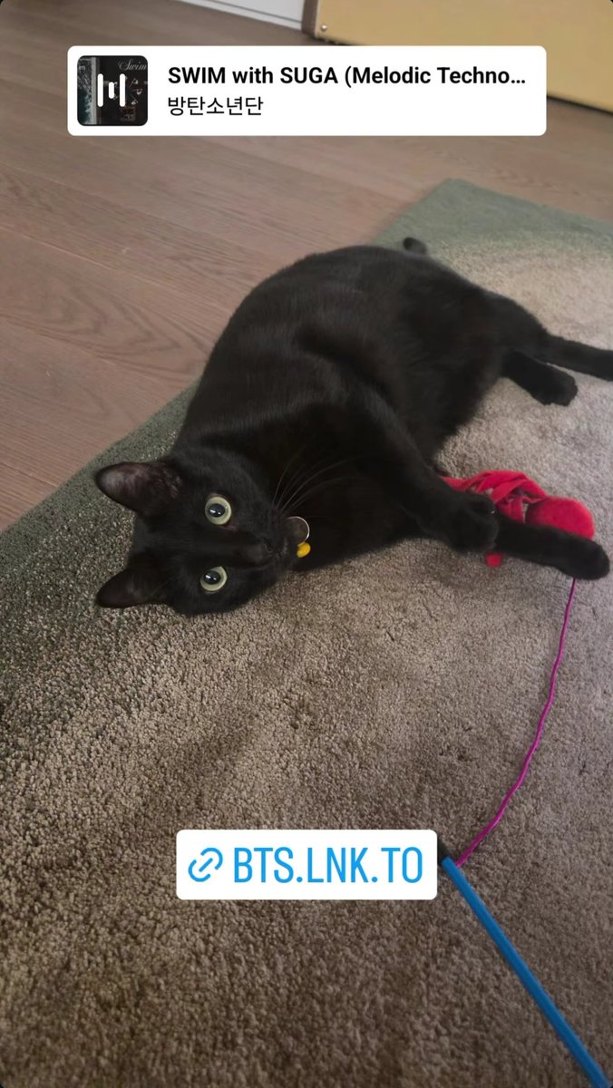 Yara⁷🪻ᴴᵒᵇⁱ tweet media