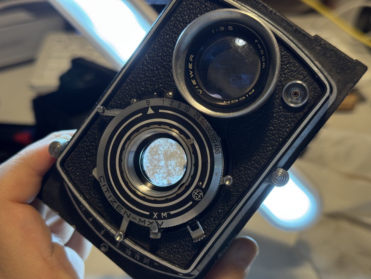 SampoGohan's tweet image. レンズはまあまあ綺麗なった