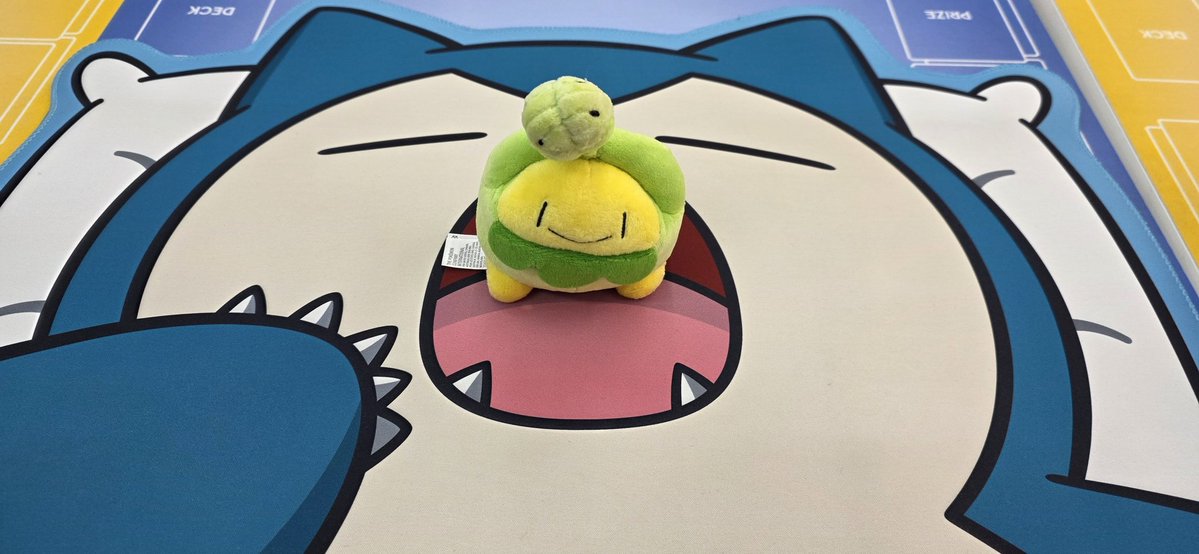 메요 대회기록 tweet media