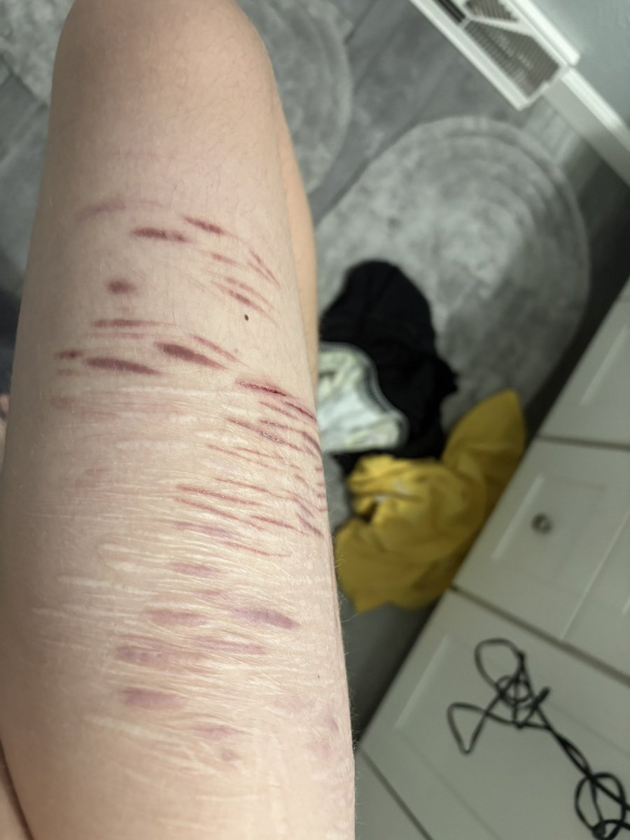 ♟️Kinger of SHEDtwt♟️(comms open) tweet media