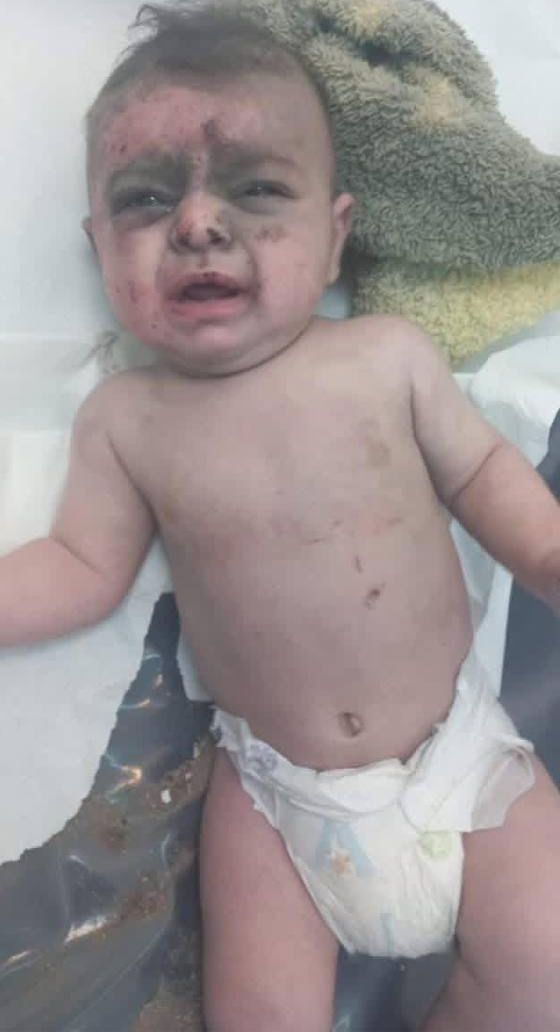 safaa mokbel tweet media