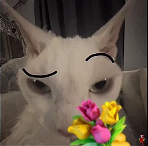 UNICEMFS tweet media