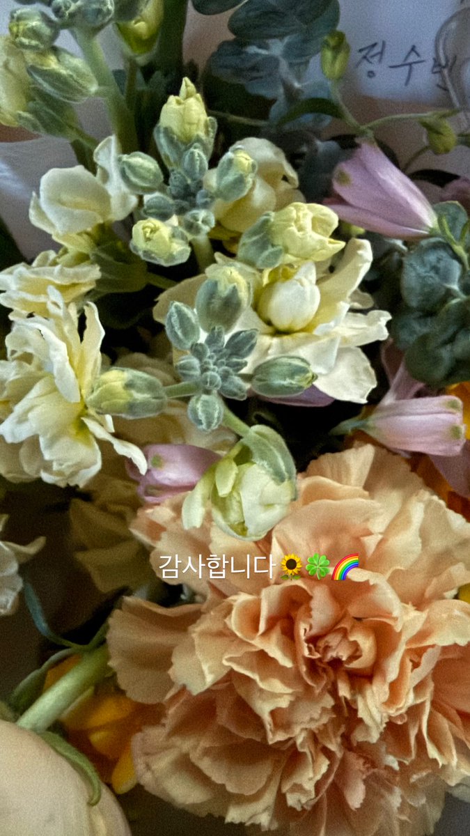 Chung Subin Global Fanbase tweet media