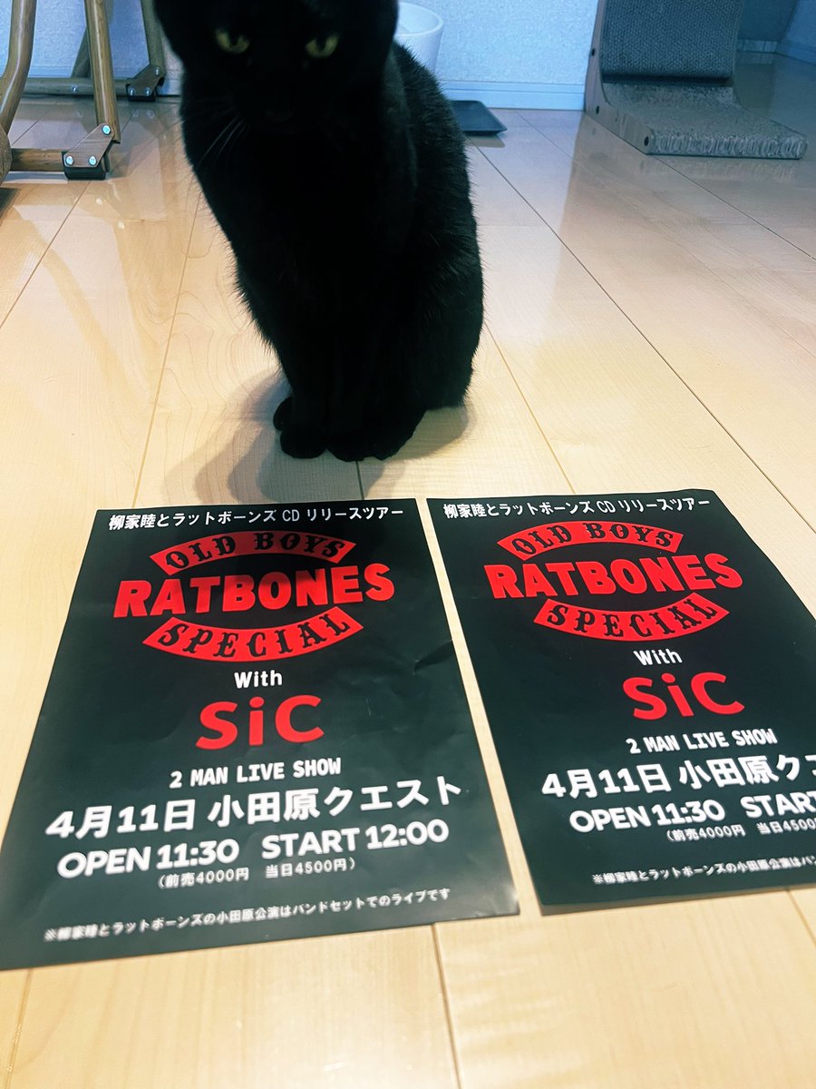 団長WIRE tweet media