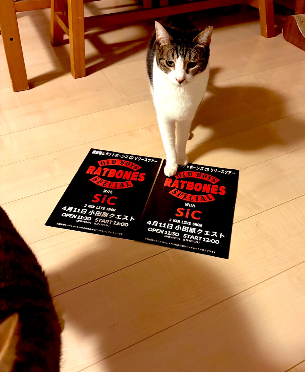 団長WIRE tweet media