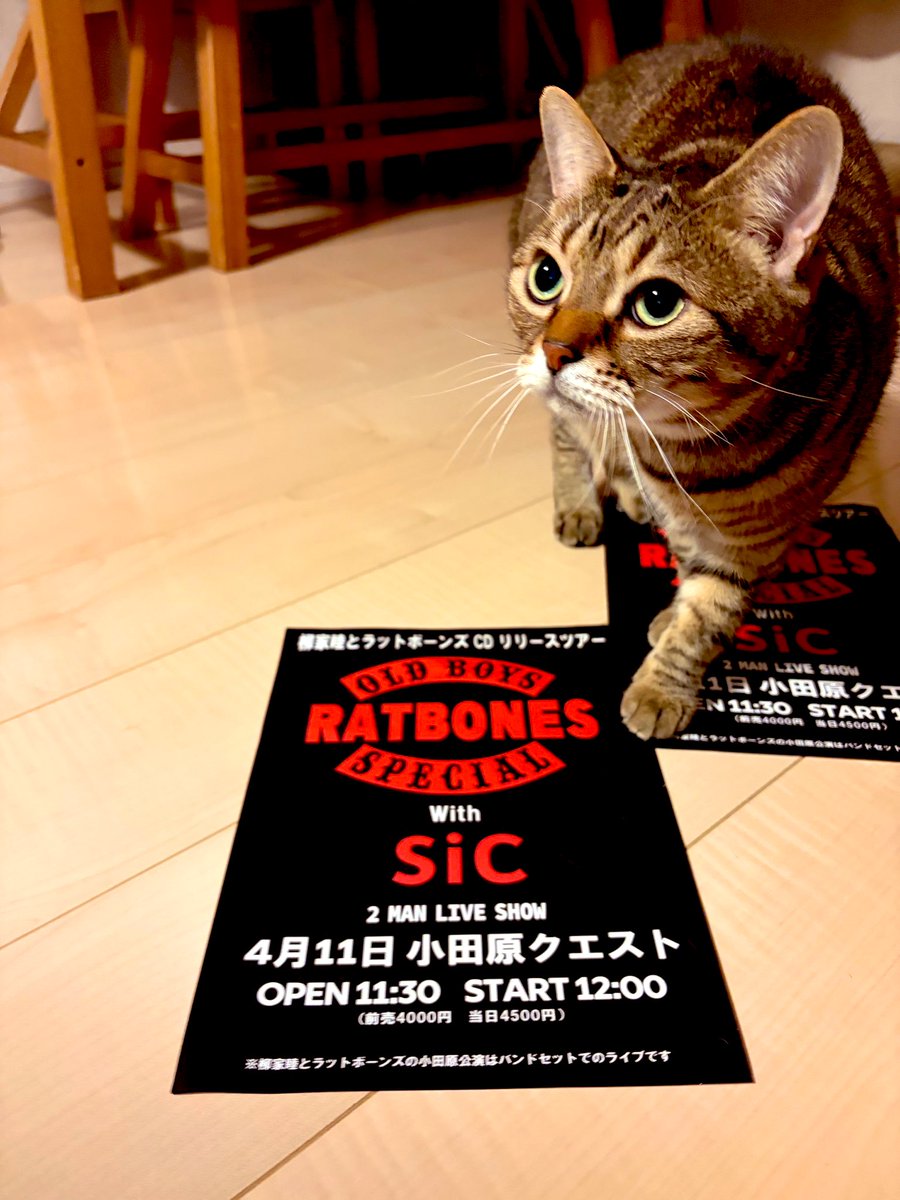 団長WIRE tweet media