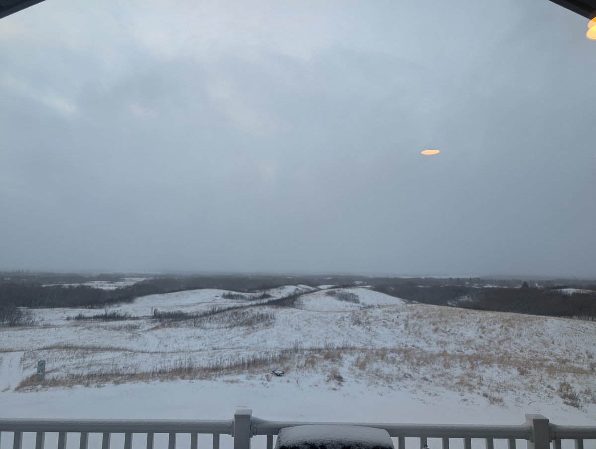 PotatoRustler tweet media