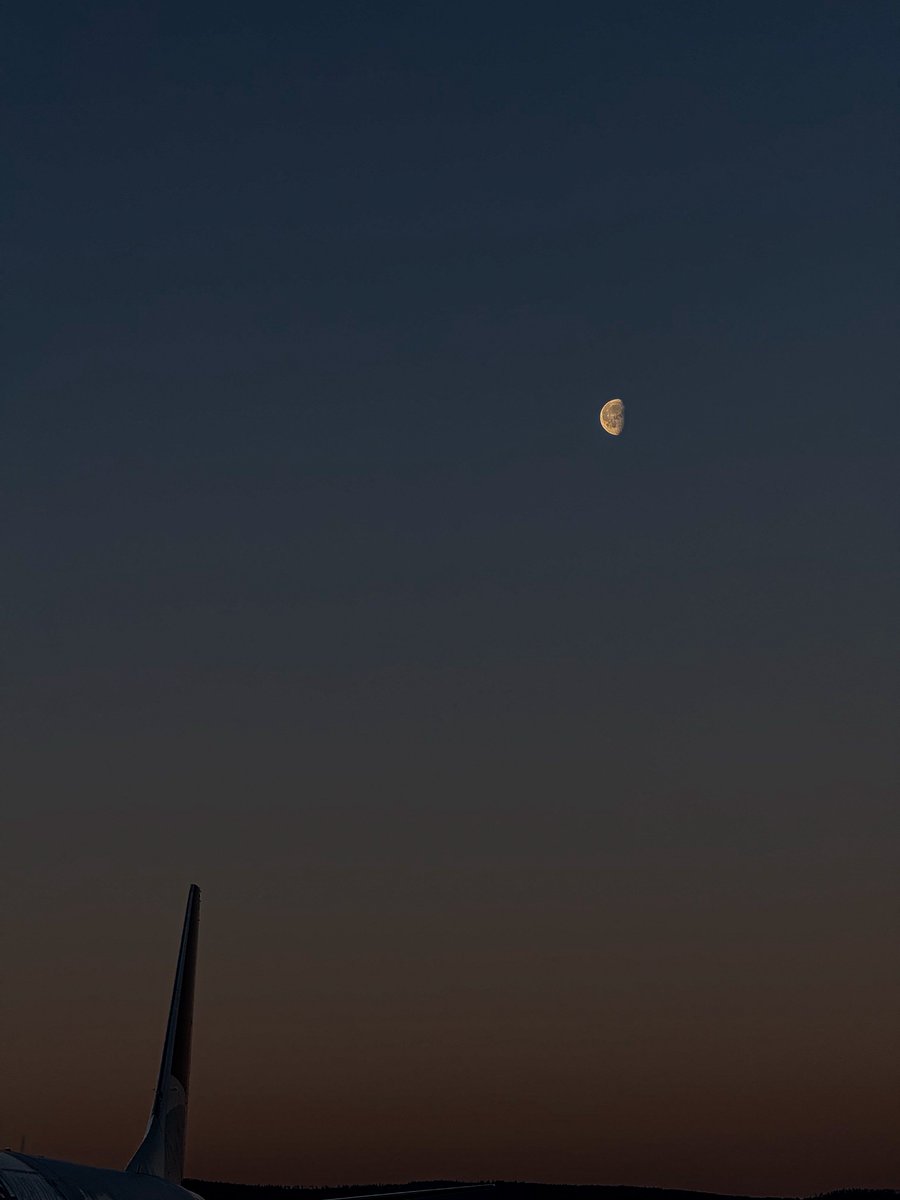 طفل الجبل tweet media