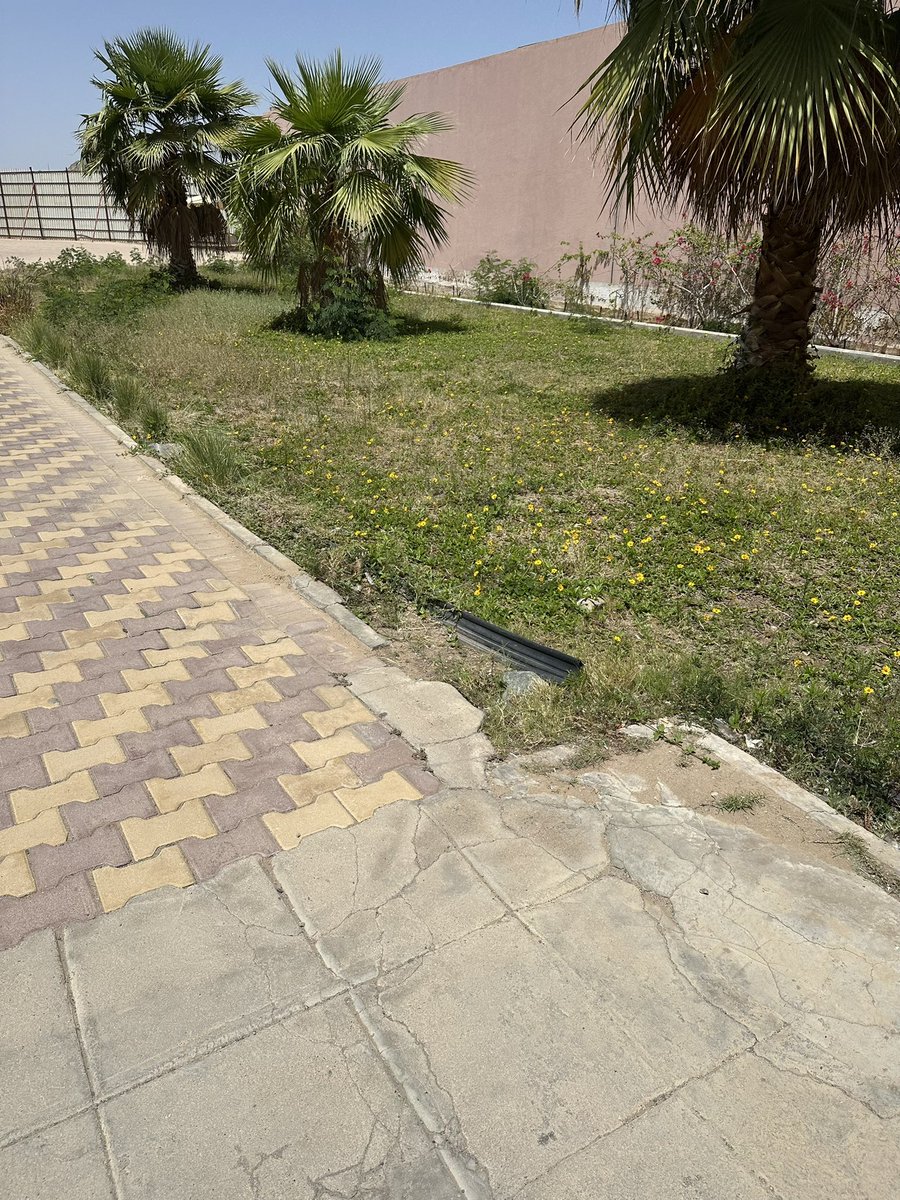 Ara ☢︎ tweet media