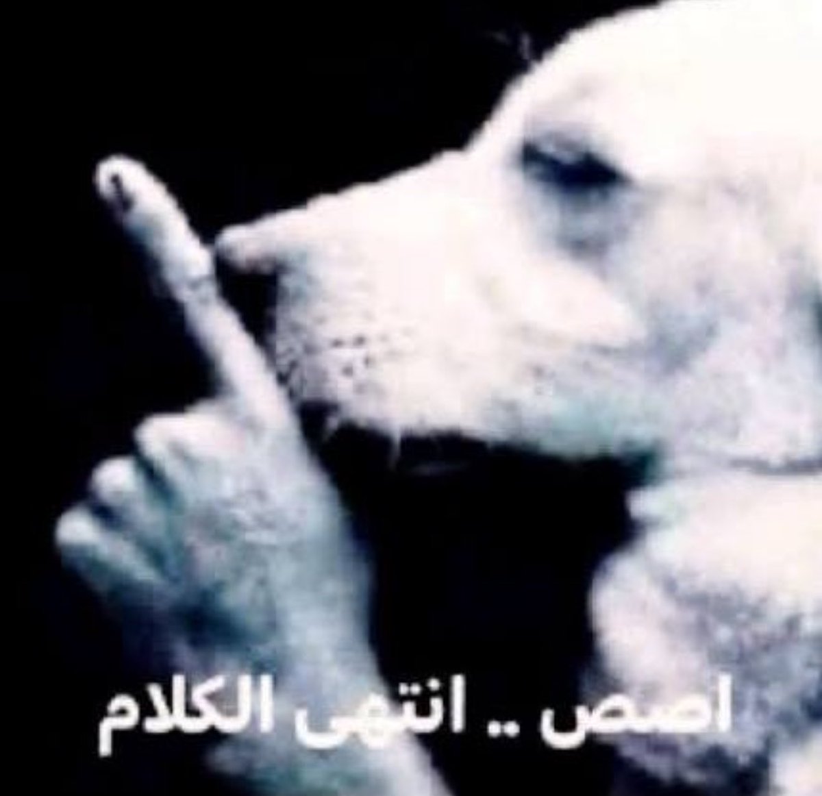 𝐗𝐈𝐈𝐈 tweet media