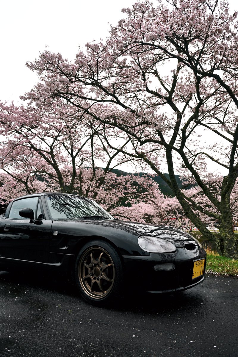 ねぎたー tweet media