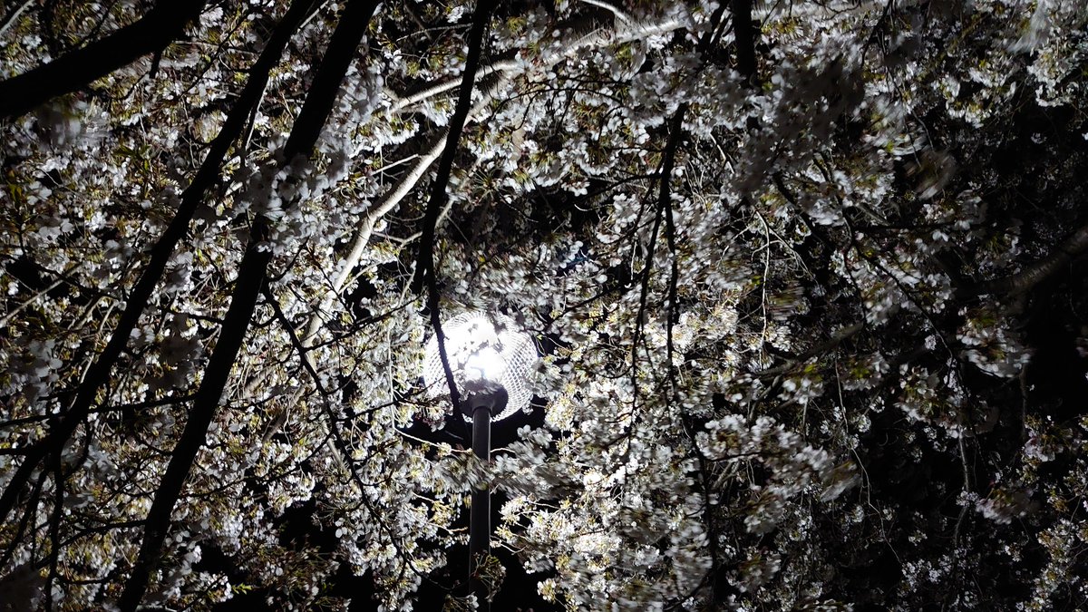 サワ・ナ tweet media