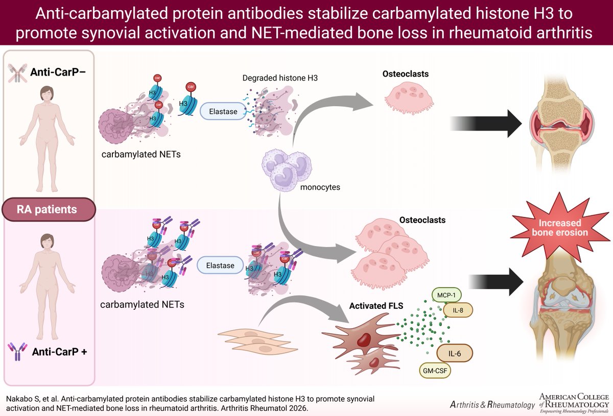 ACR_Journals tweet media