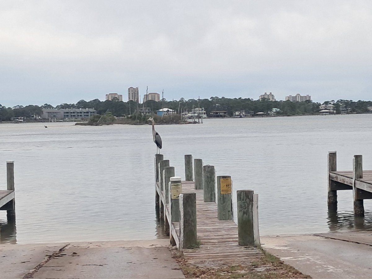 One Twisted Kracka tweet media