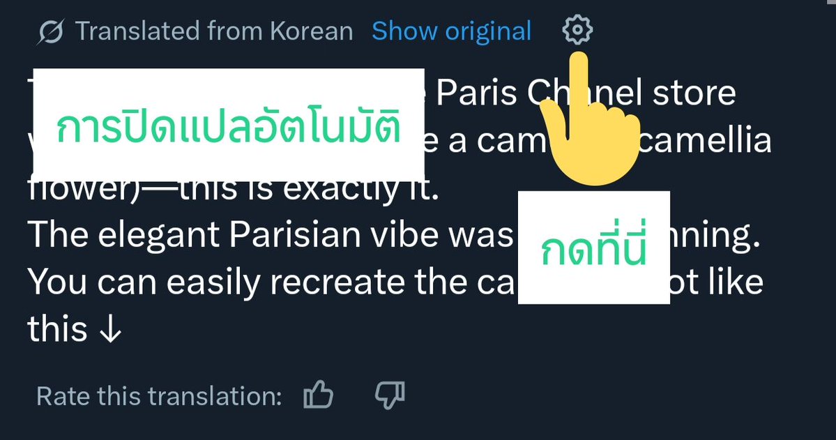 FallinginYibo85 Fan Account tweet media