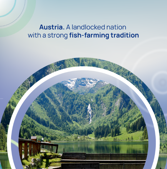 EU Maritime & Fish tweet media