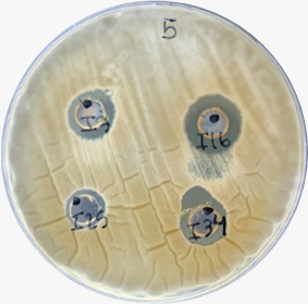 Generalitat tweet media