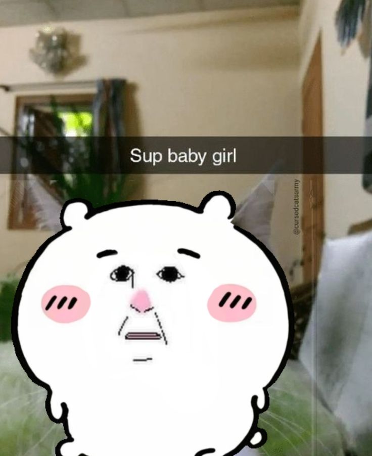 타하이사 tweet media