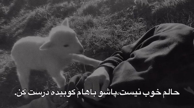 بچه کاسِب tweet media