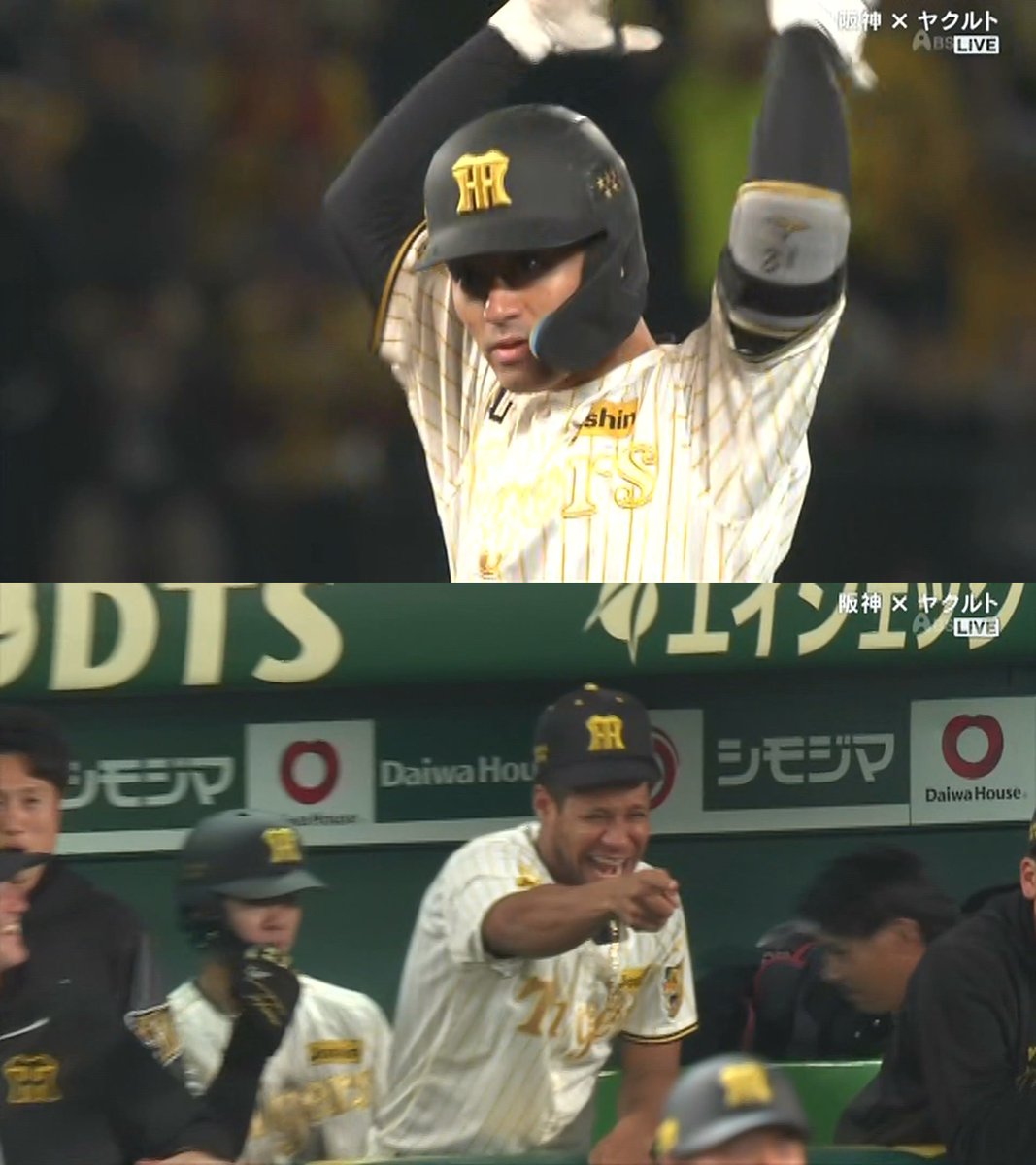 ➖たきび➖　好きなもの➖FM802➖ニコニコ動画➖ABEMA➖ニコニコ生放送➖TVer➖フォロー歓迎 tweet media