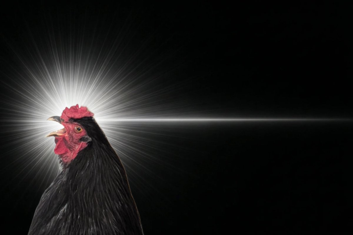 モチョ（Acrocanthosaurus） tweet media