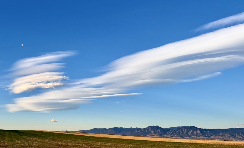 D Miller tweet media