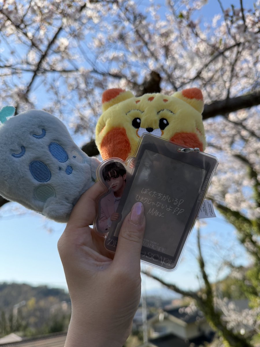 ちょび tweet media