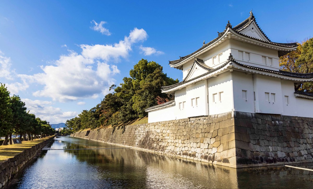 ちゃんほた🌸 tweet media