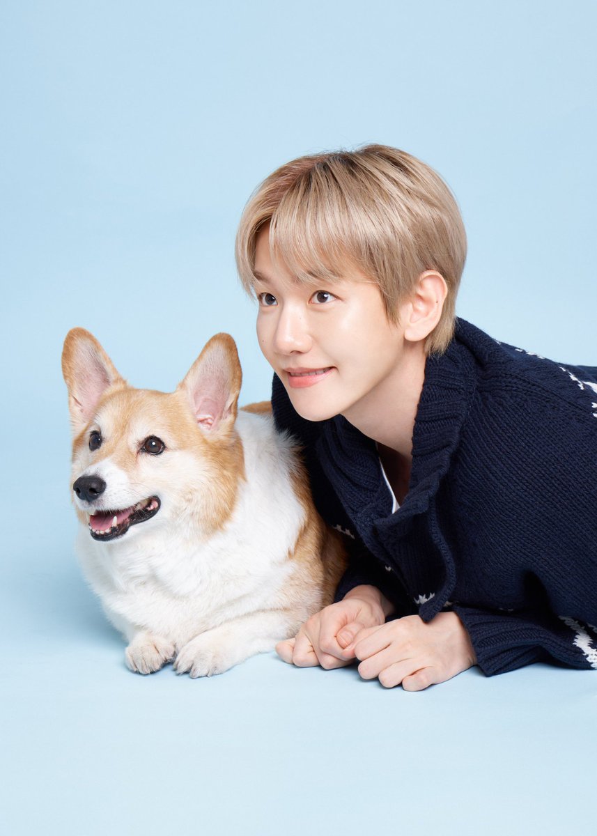 Be BAEKHYUN H🍓me tweet media