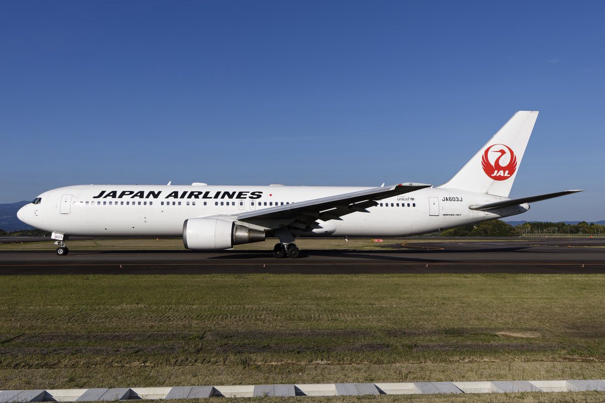 でち公 tweet media