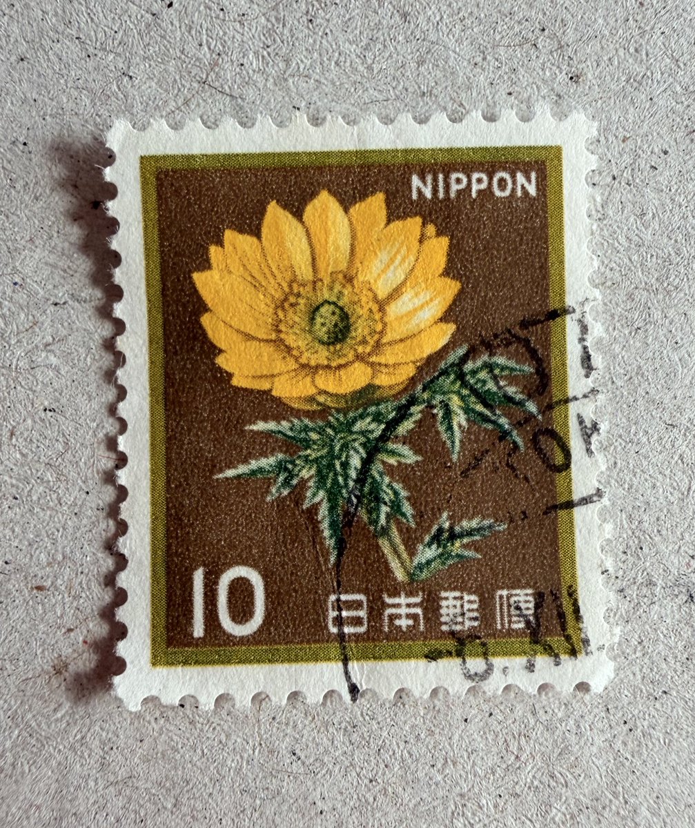 Philatelovely's tweet image. Helllo everybody, I hope you’re having a Joyful day. It’s the letter J in the a-z of Flowers on Stamps. There’s Just the one from, so please share yours too.

Japan 🇯🇵 

#stampcollecting #philately #stamps