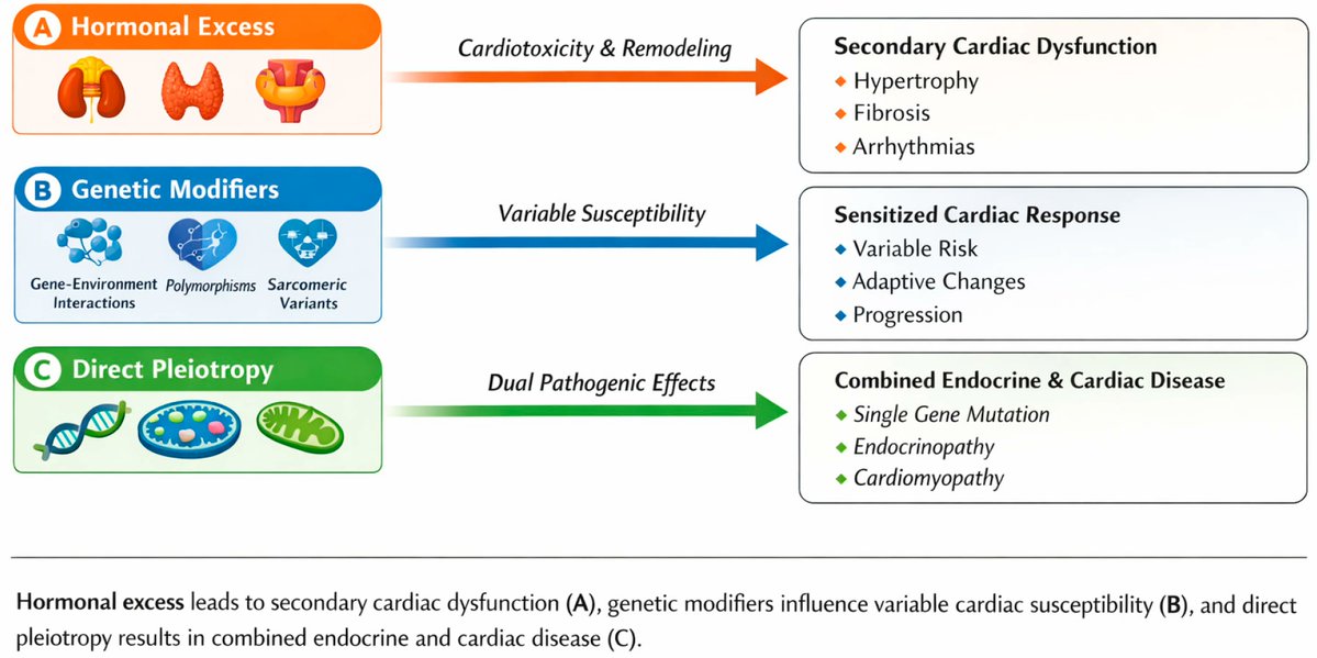 Cardiogenetics MDPI tweet media