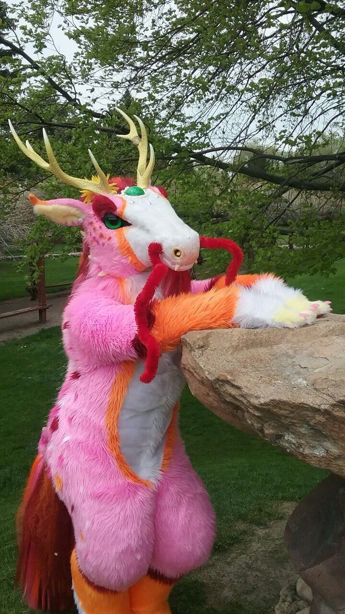 Paranumbra's tweet photo. I’m absolutely tickled pink. It’s not every day a pink longma turns 33. 🩷🧡💛❤️ https://t.co/hxxAIkmQy5