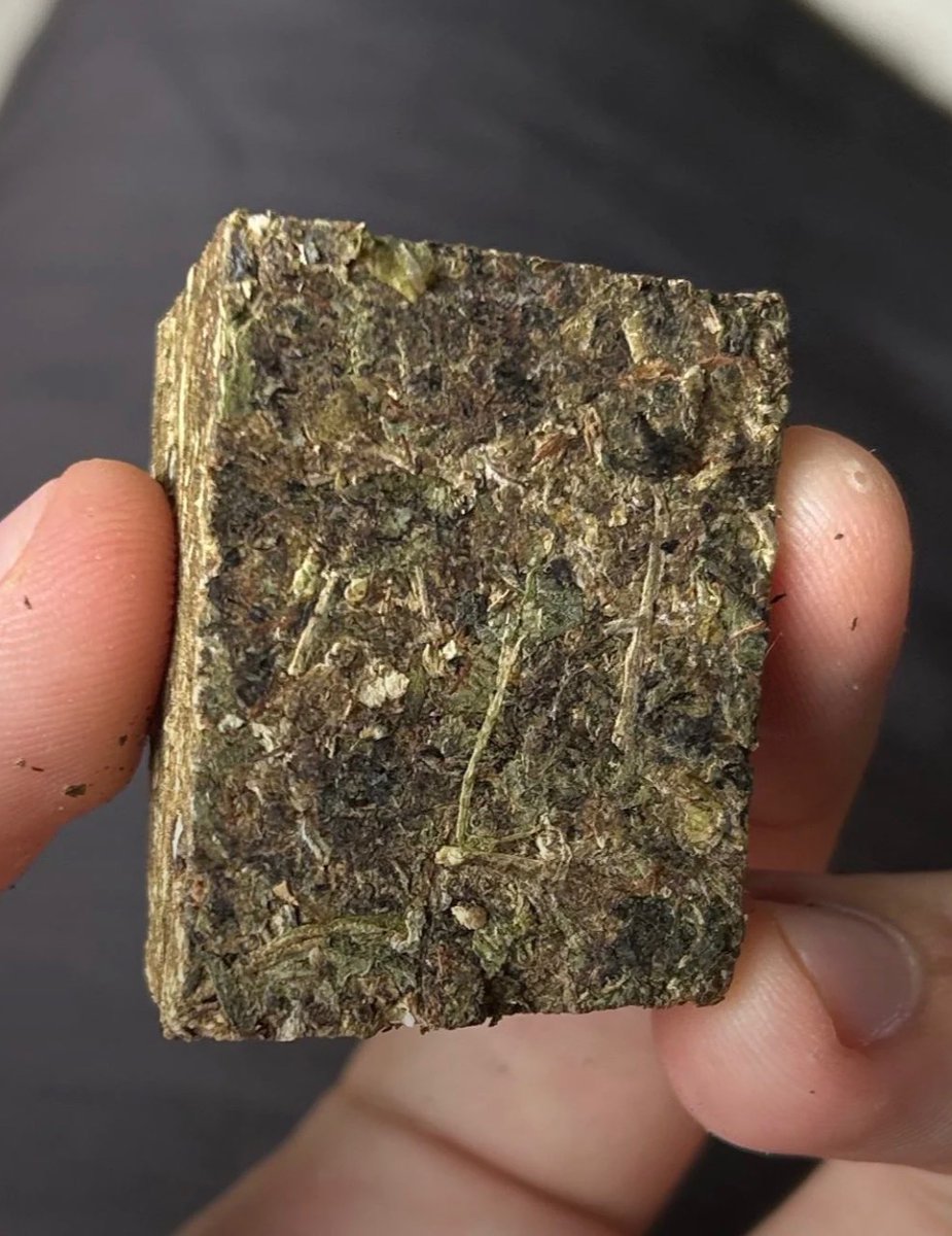 早巻CBDゼオライ🌈🇨🇦🇺🇸 tweet media