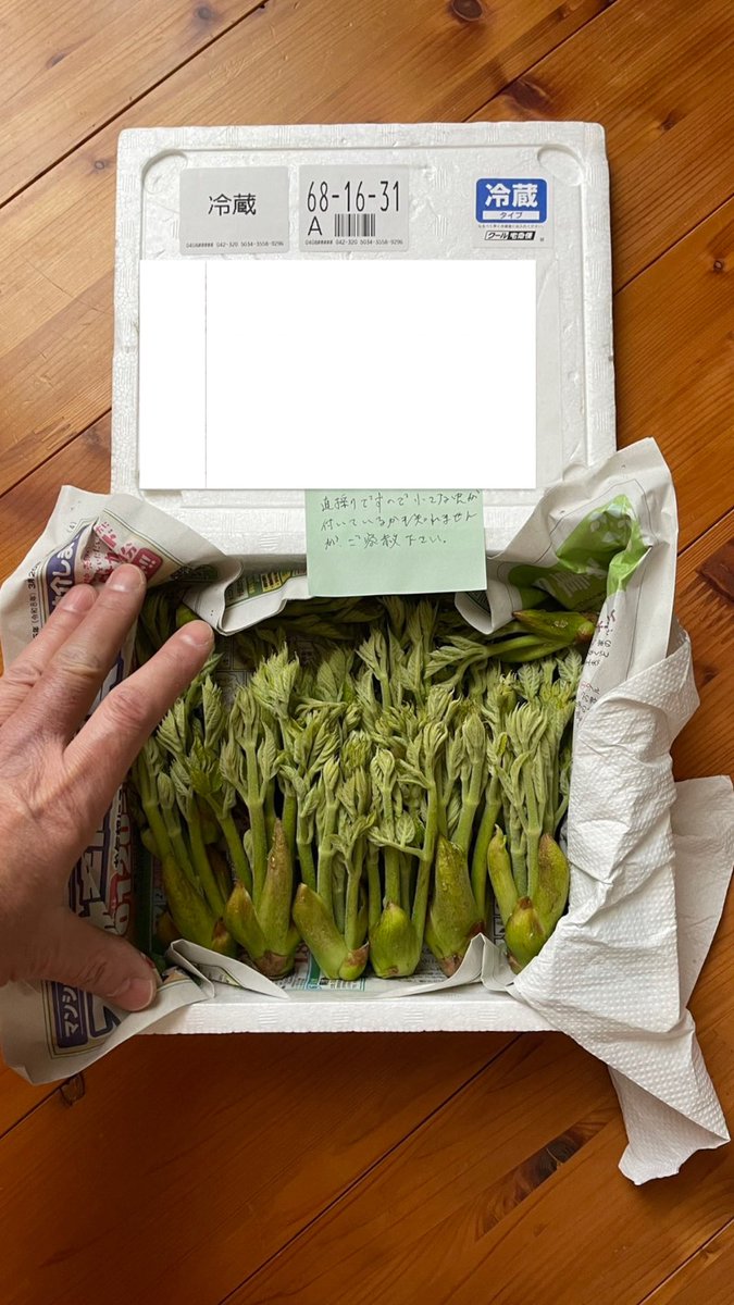 はまち tweet media