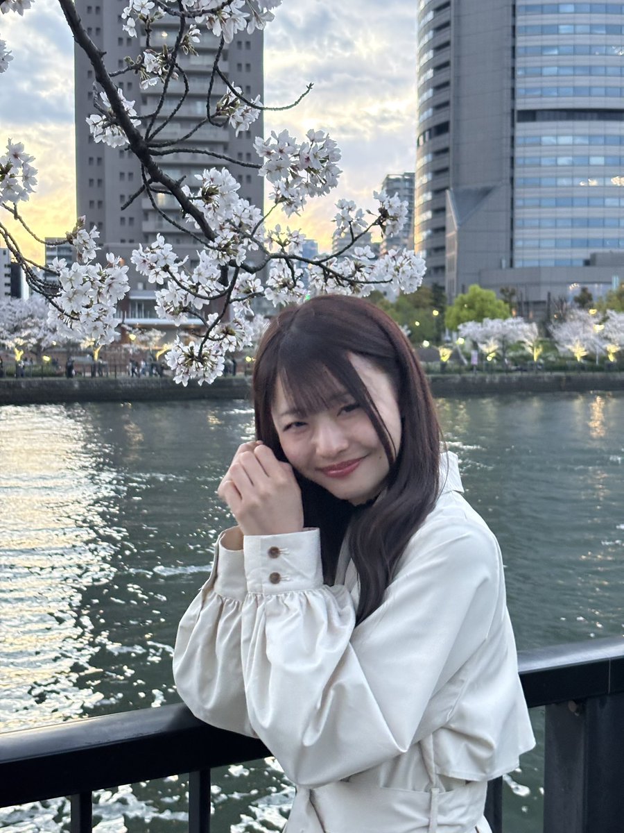 ℳ🐱🎀 tweet media