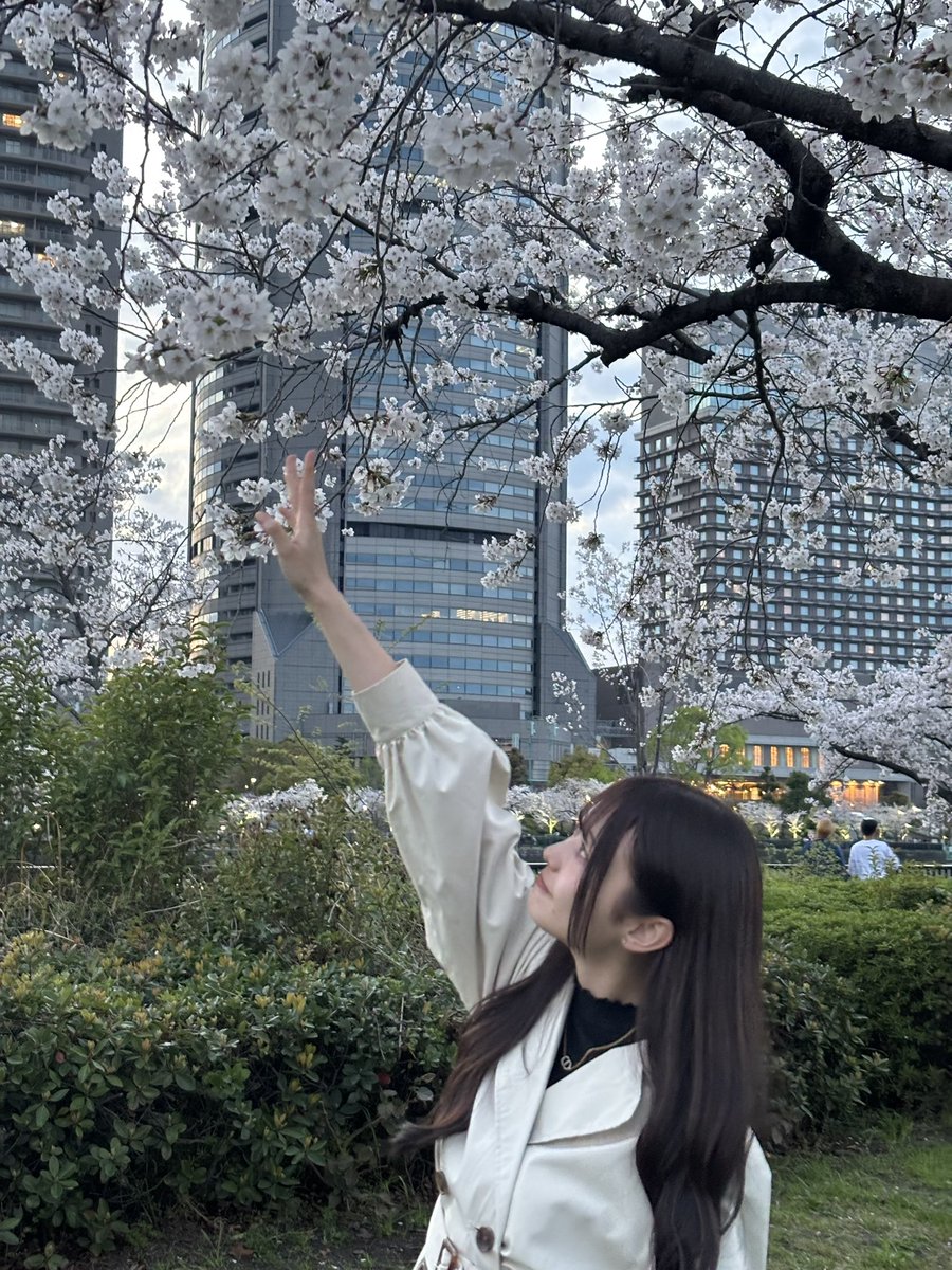 ℳ🐱🎀 tweet media